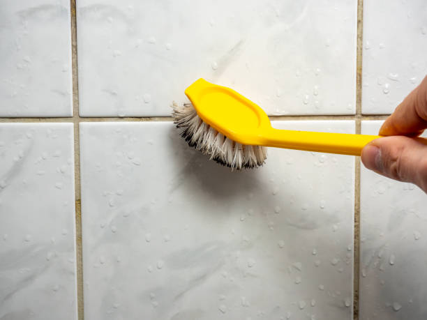  Battle Ground, IN Mold Removal Pros