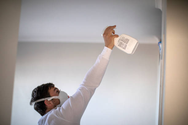 Best Fast Mold Removal  in Battle Ground, IN