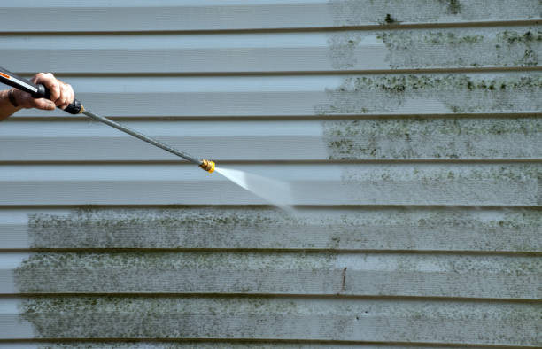 Home Mold Removal in Battle Ground, IN